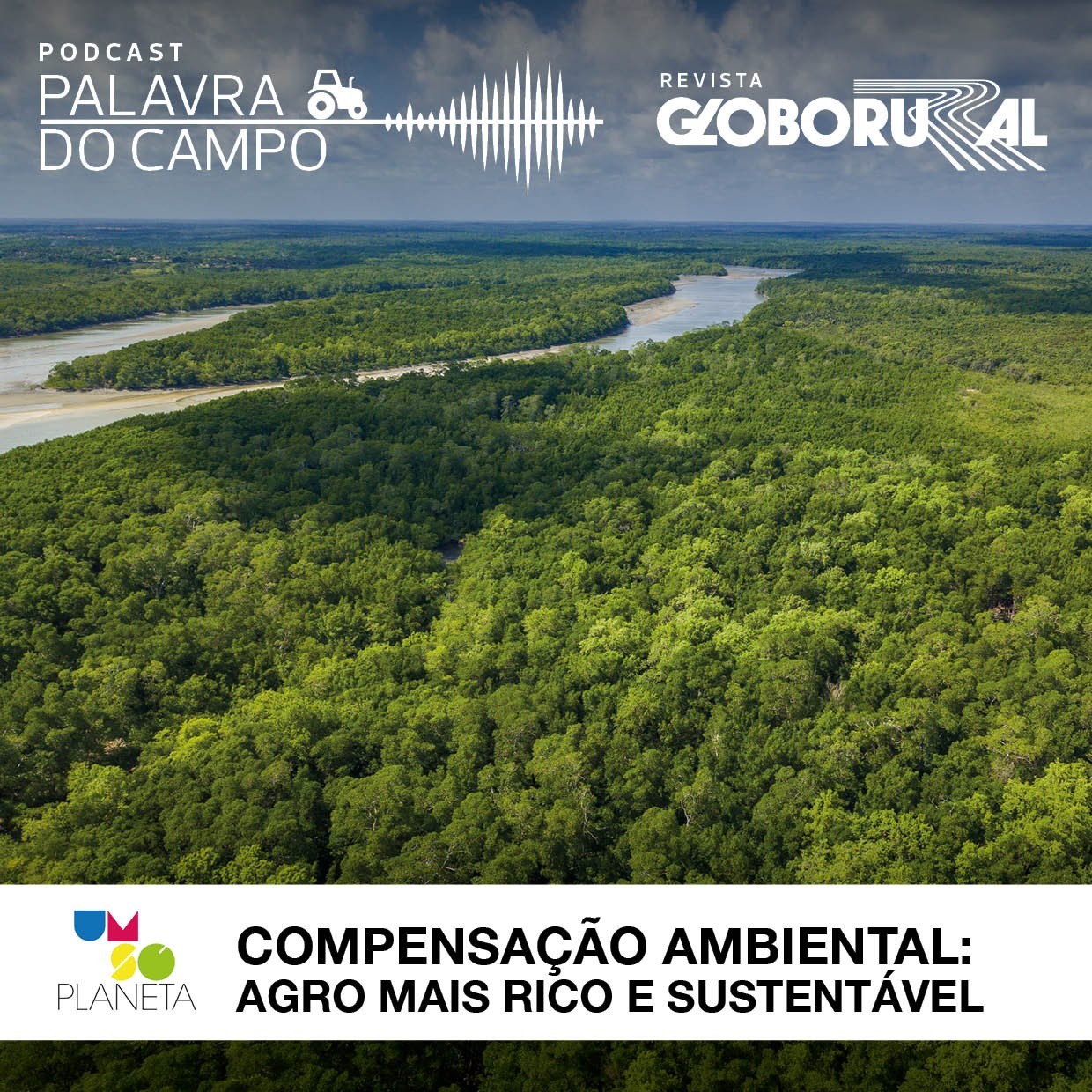 Podcast Palavra do Campo - Compensação ambiental: agro mais rico e sustentável (Foto: Arte: Editora Globo)