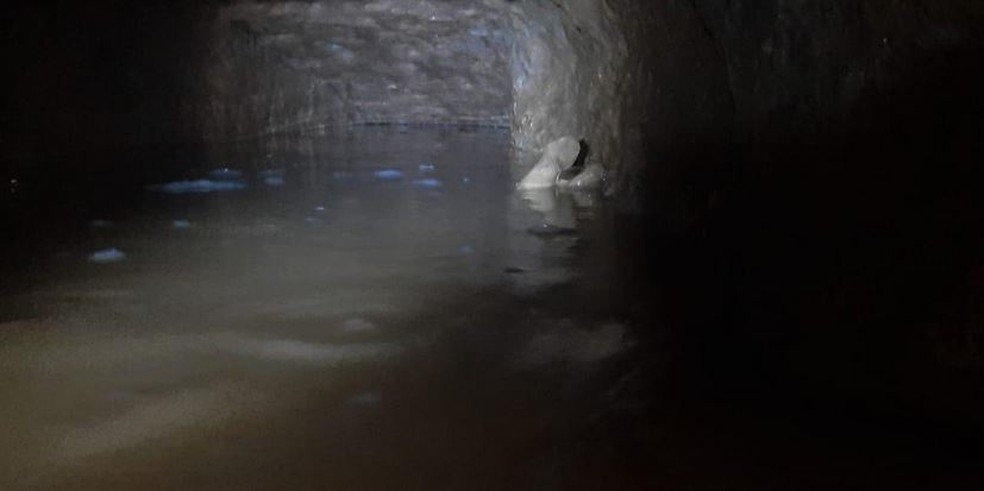 visitas foram suspensas por 30 dias — Foto: Iapen-AC/Divulgação