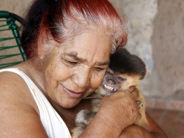 CHC  Viu um macaco-prego por aí?