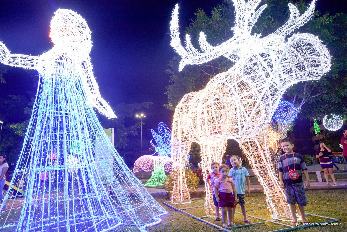 Prefeitura acende decoração de Natal inspirada no filme Frozen em praça de  Boa Vista | Roraima | G1