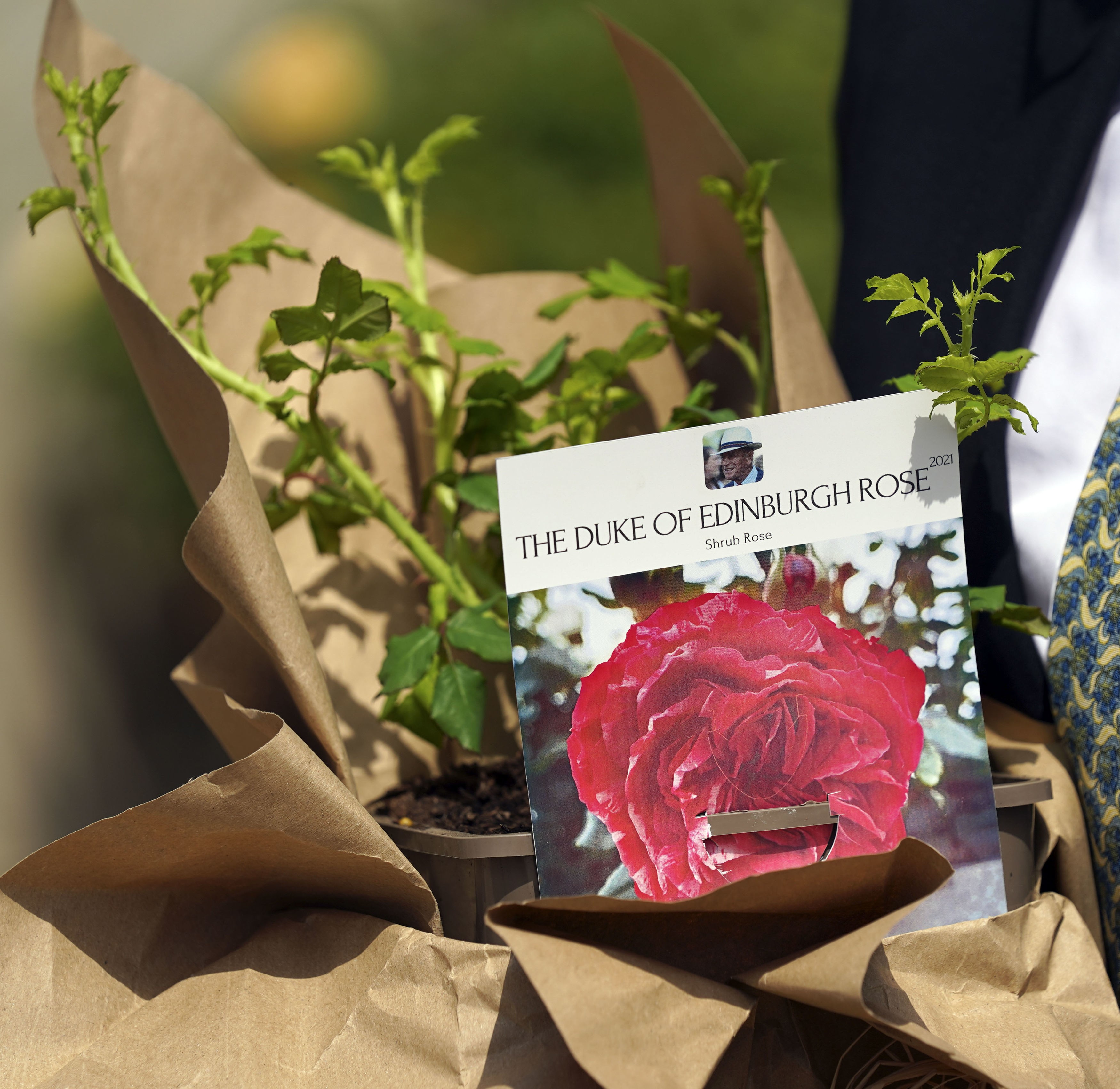 A flor batizada em homenagem ao Príncipe Philip, entregue à Rainha Elizabeth 2ª e plantada nos jardins do Castelo de Windsor, para celebrar o dia que o Duque de Edimbgurgo completaria 100 anos (Foto: Getty Images)