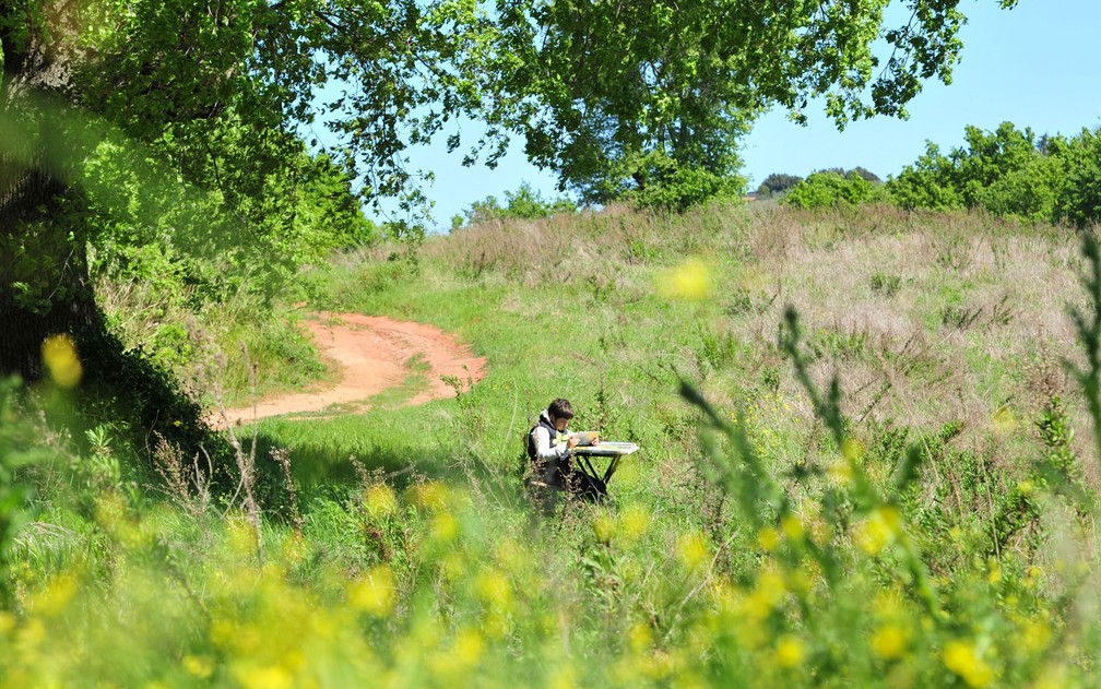  Giulio Giovannini, de 12 anos, é obrigado a ir até o campo, a 1,5 km de sua casa, para conseguir acessar internet e estudar, em Scansano, na Itália — Foto:  Reuters/Jennifer Lorenzini 