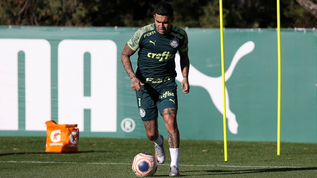 Dudu em campo na Academia do Palmeiras &mdash; Foto: Cesar Greco / Ag. Palmeiras