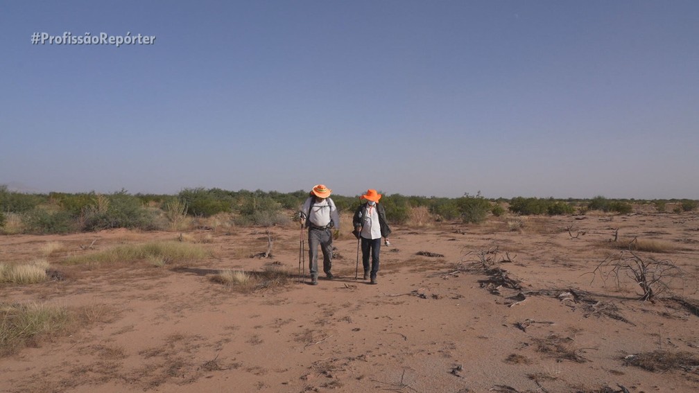 Voluntários buscam por imigrantes desaparecidos no deserto dos Estados Unidos — Foto: Profissão Repórter