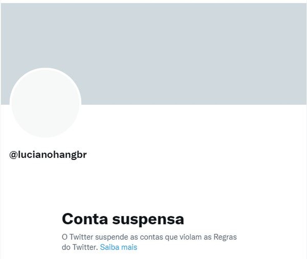 Luciano Hang, da Havan, tem conta suspensa no Twitter — Foto: Reprodução