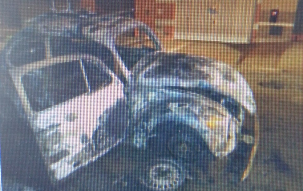 Homem ateia fogo em carro com cadela e cinco filhotes dentro após briga com o pai por dinheiro em Itapeva — Foto: Arquivo Pessoal 