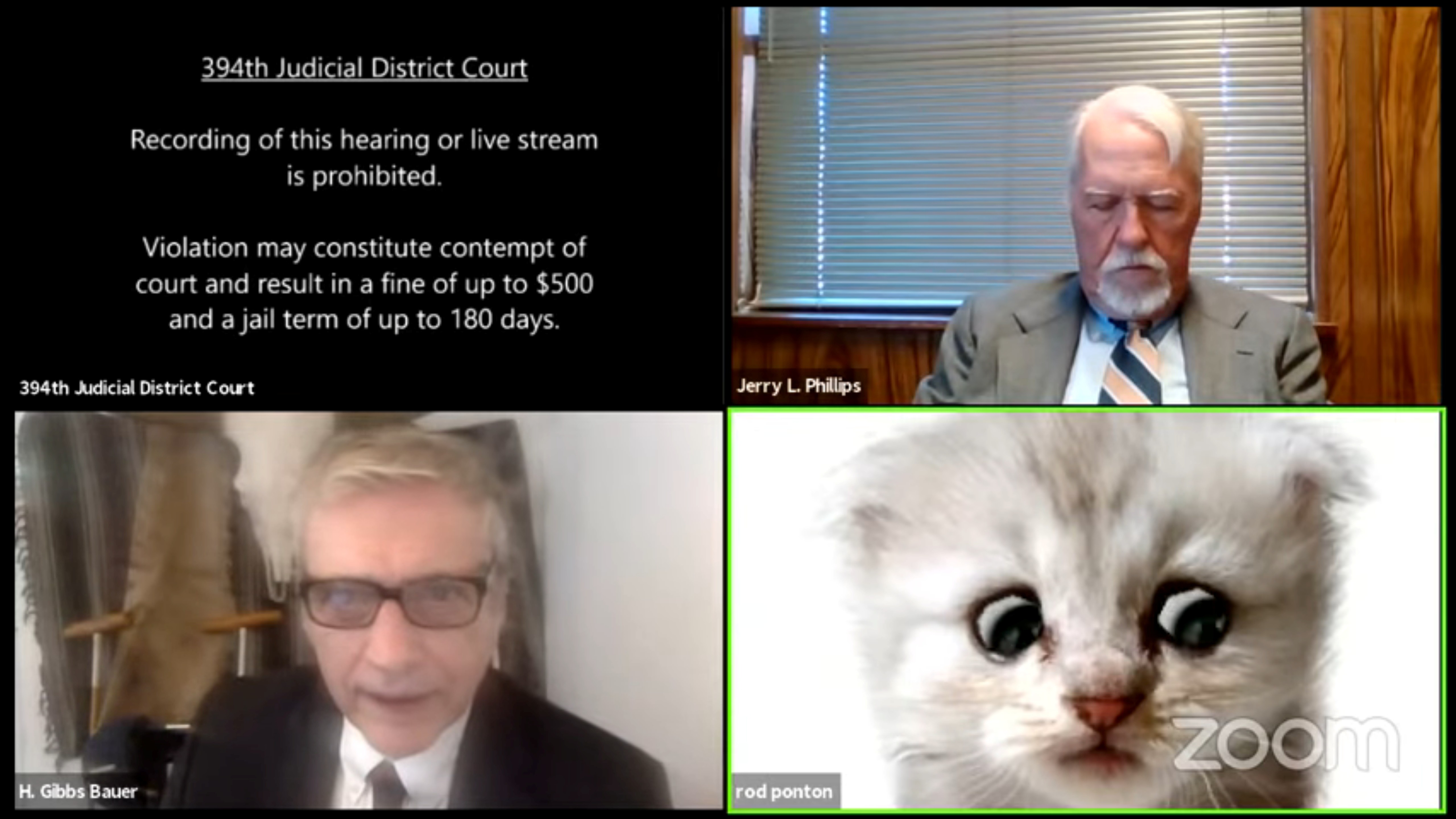 Sem querer, advogado ativa filtro de gato em audiência virtual nos EUA; veja vídeo thumbnail