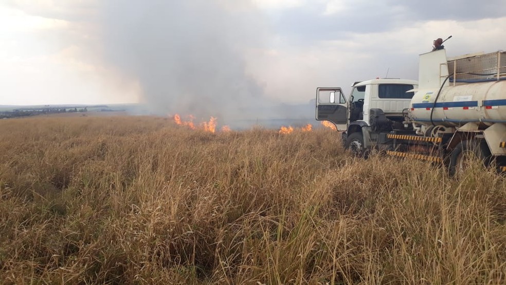 Incêndio na SP-284, em Martinópolis — Foto: Defesa Civil