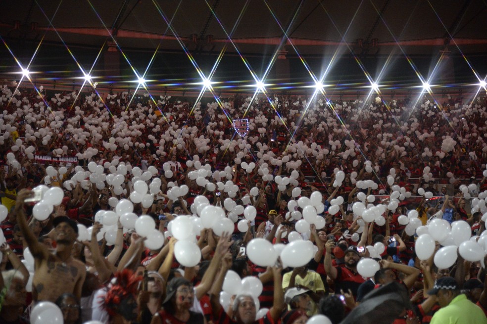 Homenagem às vítimas do incêndio no Ninho, em Fla-Flu de 2019, primeiro jogo após tragédia — Foto: André Durão/GloboEsporte.com