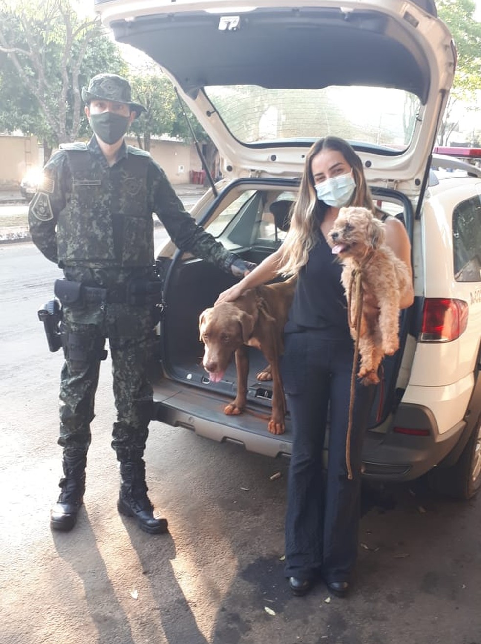 Cães foram resgatados e levados a um ONG da cidade — Foto: Polícia Ambiental 