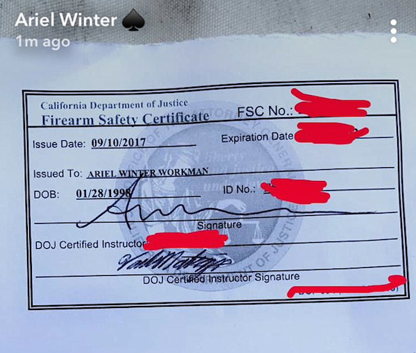 O documento que autoriza o porte de armas a Ariel Winter (Foto: Instagram)