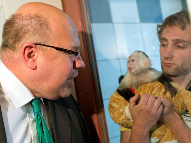 O ministro do meio-ambiente da Alemanha, Peter Altmaier, visita Mally, macaco que pertencia ao cantor Justin Bieber; o encontro aconteceu nesta terça-feira (21) em um abrigo para animais em Munique (Foto: Peter Kneffel/dpa/AP )