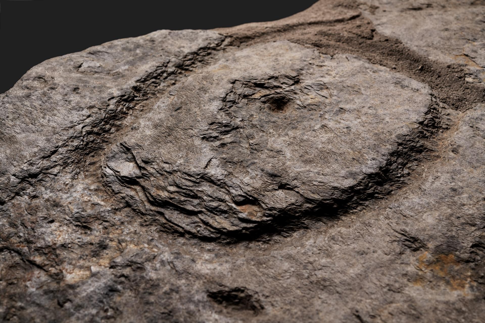 Motivo oval presente na pedra de 4 mil anos  (Foto: Divulgação/Inrap)