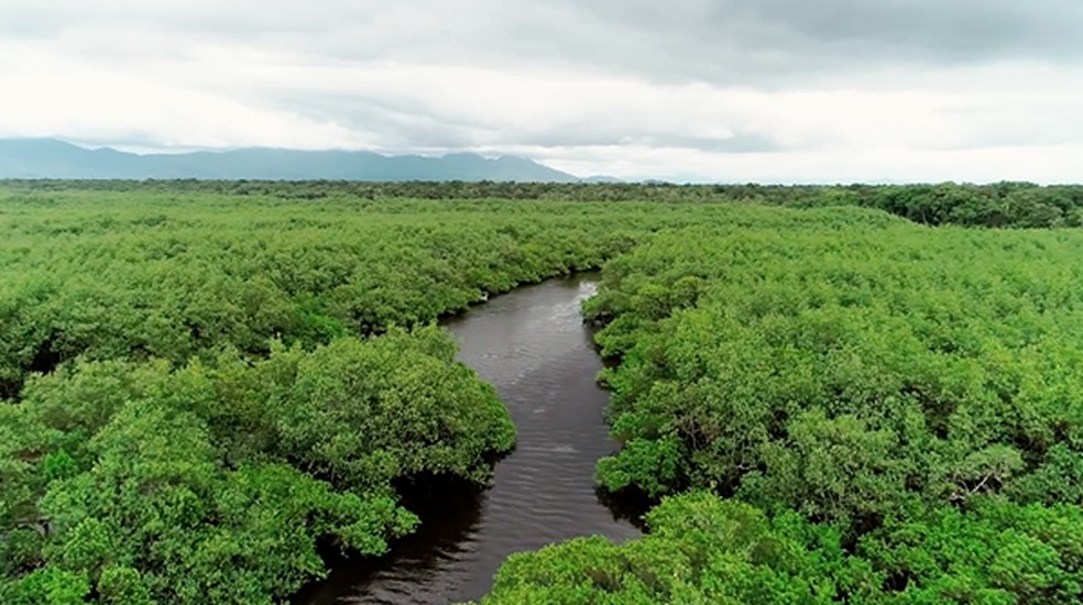 Rio Guaraguaçu, em Pontal do Paraná — Foto: Plug