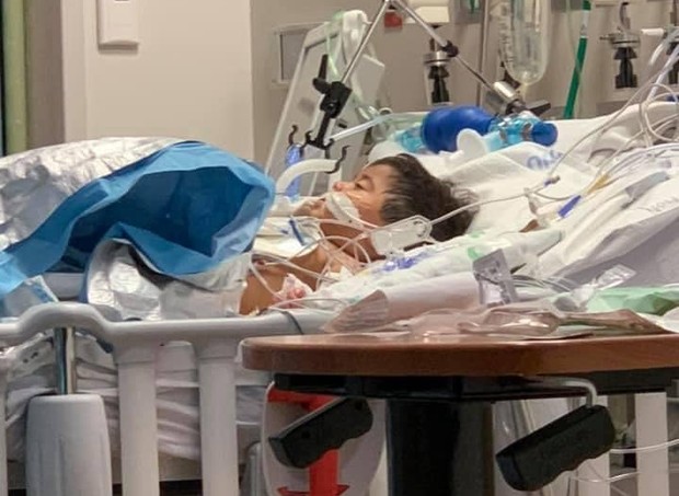 Família de bebê, que teve morte cerebral, luta para mantê-lo no respirador  (Foto: Reprodução: Facebook )