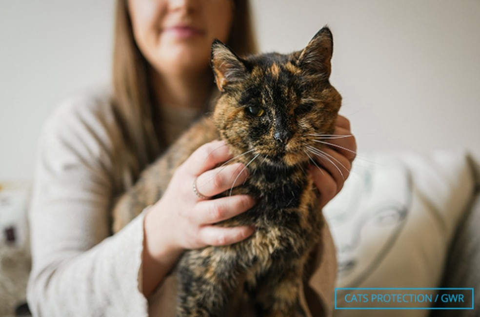 Flossie nasceu em 1995 e tem, atualmente, 26 anos e 316 dias, o equivalente a 120 anos de um ser humano. — Foto: Guinness World Records