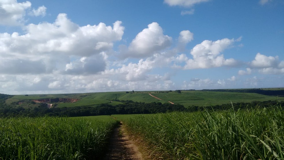 Fazenda Japungu, em Santa Rita, na Grande João Pessoa — Foto: Daniel Santana/Arquivo