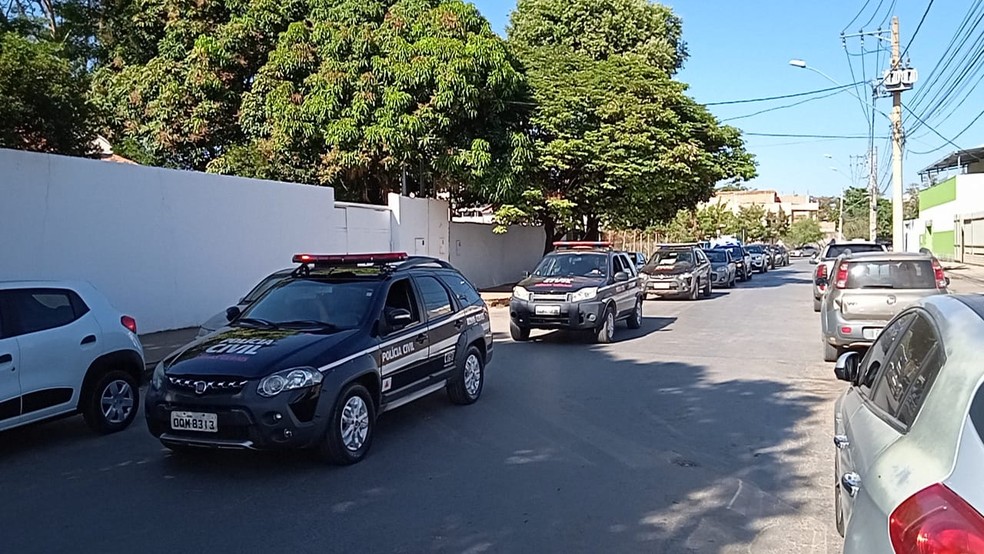 Entorpecentes foram transportados em viaturas da Polícia Civil — Foto: Polícia Civil/ Divulgação