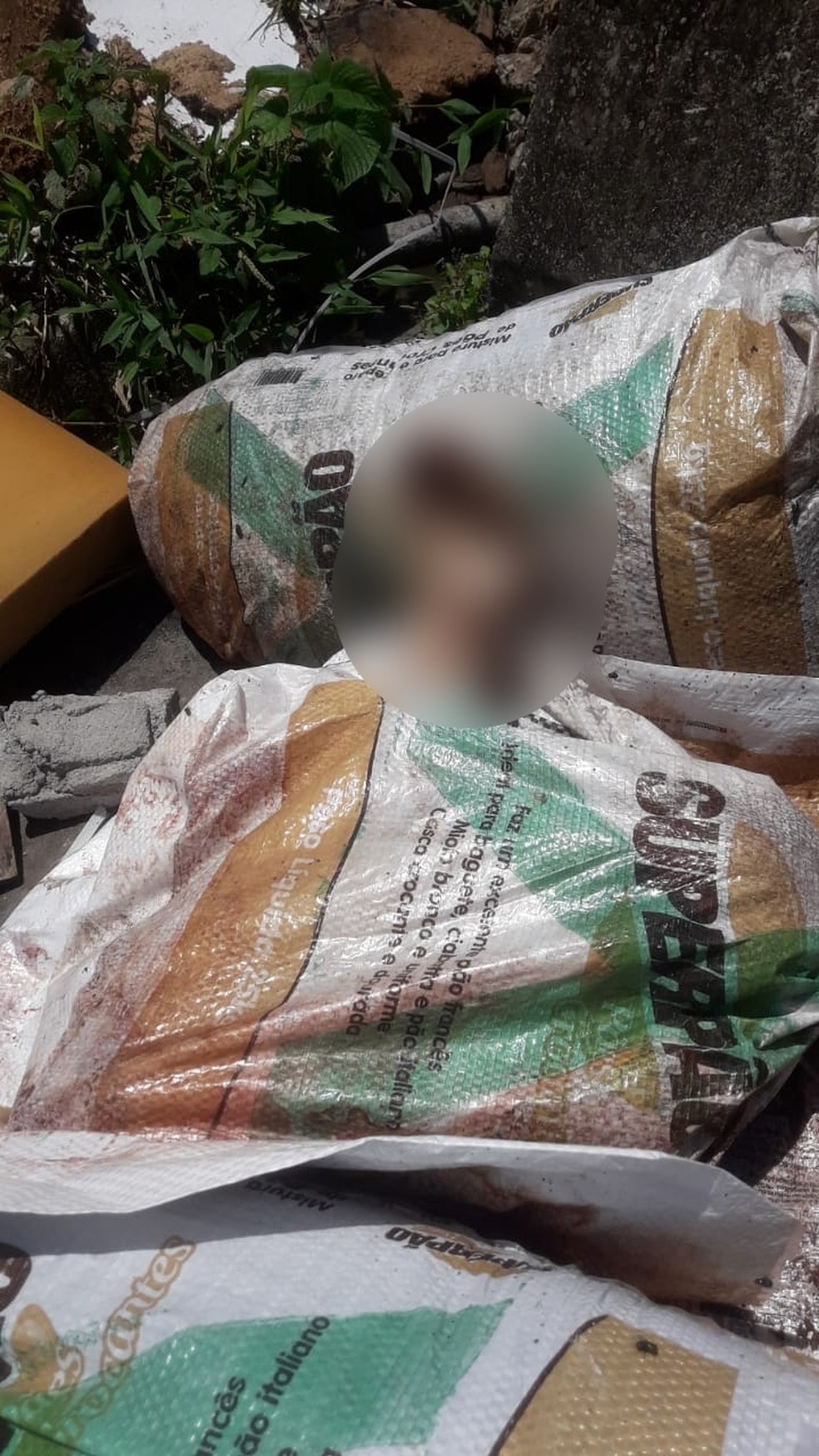 Corpo esquartejado foi encontrado em avenida de Praia Grande, SP — Foto: Arquivo Pessoal