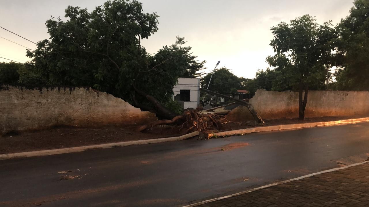 Temporal derruba árvores e parte do muro de cemitério em Araguaína 