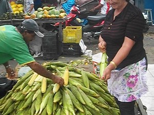 Mão de milho é vendida por até R$ 30 em Campina Grande (Foto: Rafael Melo/G1)