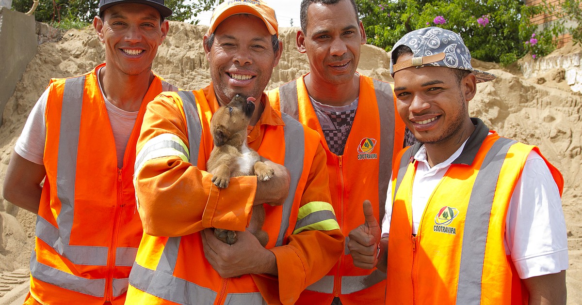 G1 Cadela é Resgatada Após Ficar 16 H Presa Em Buraco Em Porto Alegre Notícias Em Rio Grande 6850