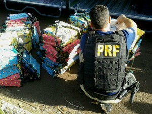 Droga estava sendo transportada no bagageiro de um ônibus abordado na BR-277, próximo à fronteira com o Paraguai (Foto: PRF / Divulgação)