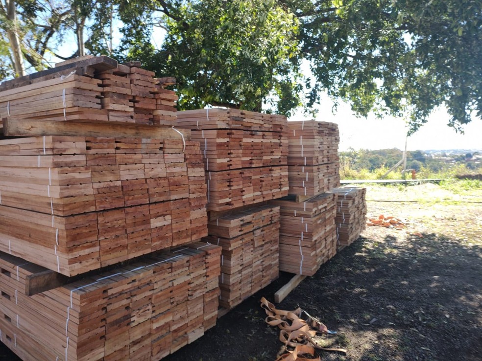 Carga de madeira é apreendida na Rodovia Raposo Tavares (SP-270), em Presidente Prudente (SP) — Foto: Polícia Ambiental