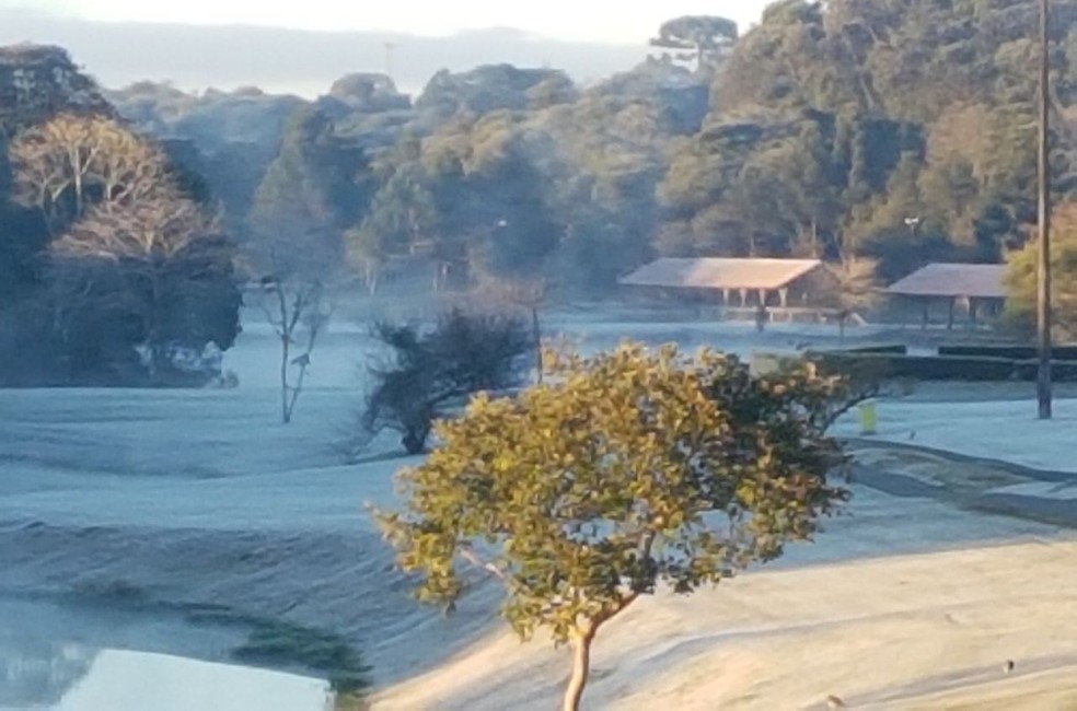 Parque Tingui amanheceu coberto de geada (Foto: Angela Yurk Rosa/RPC)