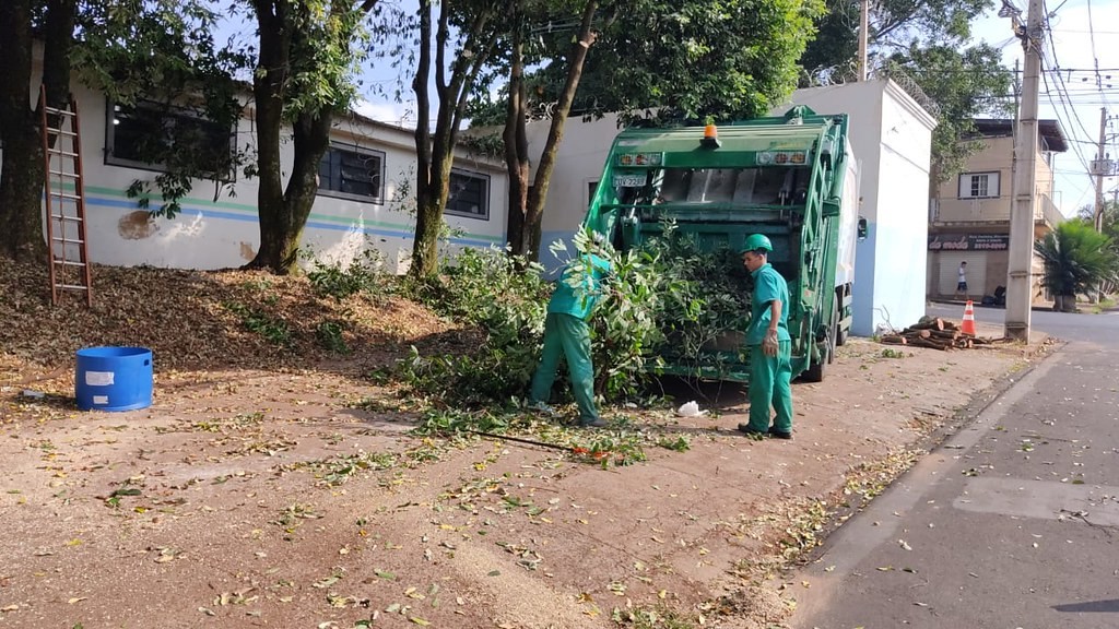 Prefeitura faz retirada de árvores que apresentam riscos à população em Uberaba