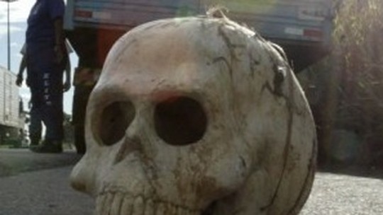 Crânio humano encontrado em sacola de lixo em Ipatinga (MG)