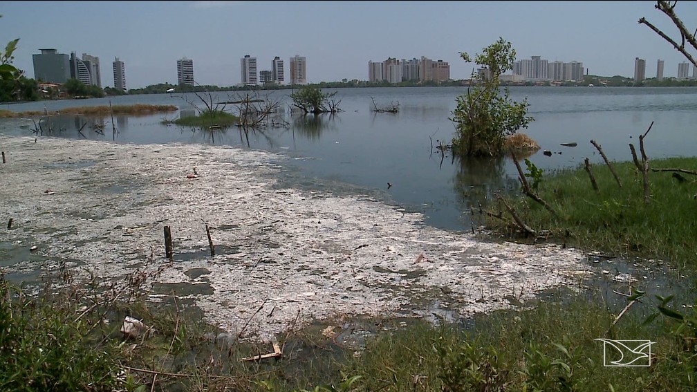 Lagoa da Jansen é um locais com maior intensidade de poluição de São Luís.  — Foto: Reprodução/TV Mirante