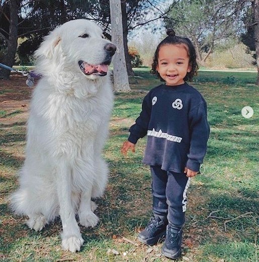 A foto compartilhada por Kim Kardashian mostrando sua filha Chicago com um cachorro (Foto: Instagram)