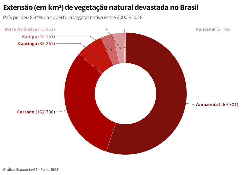 Dos 490 mil km² de vegetação natural perdida, 55% eram da Amazônia e 31%, do Cerrado — Foto: Economia/G1