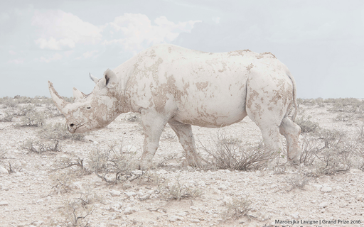 Veja As Fotos Da Natureza Mais Bonitas Dos Ultimos Tempos Revista Galileu Ciencia