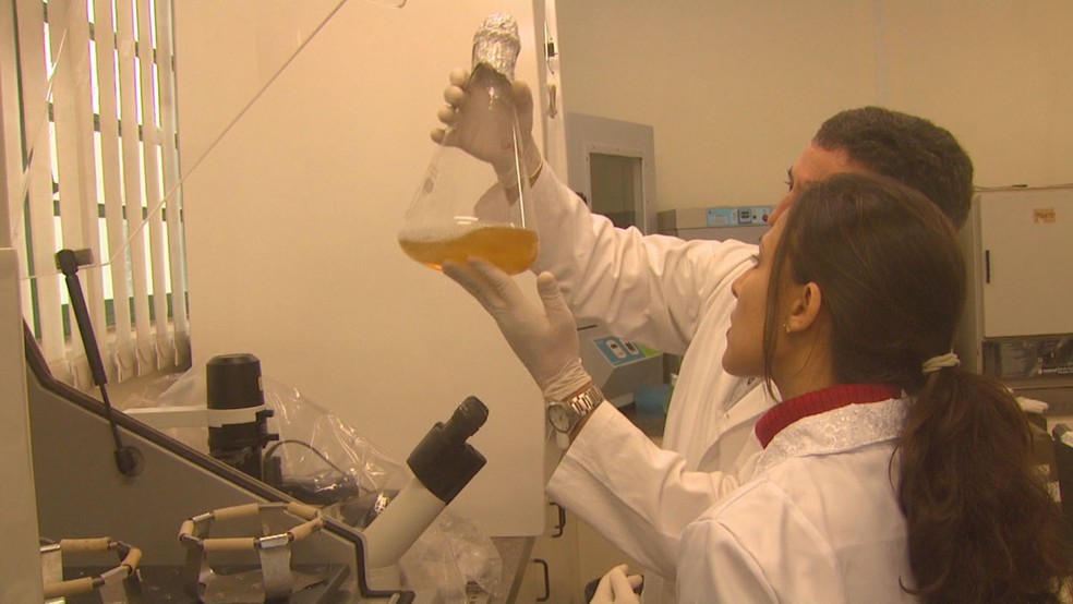 Pesquisadores descobriram que proteína pode proteger esmalte do dente (Foto: Marlon Tavoni/EPTV)