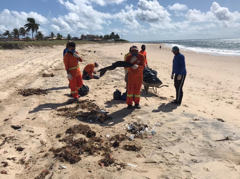 Limpeza de lixo na praia de Tabatinga, em Nísia Floresta, RN, ocorrida neste sábado (24) — Foto: Ayrton Freire/Inter TV Cabugi