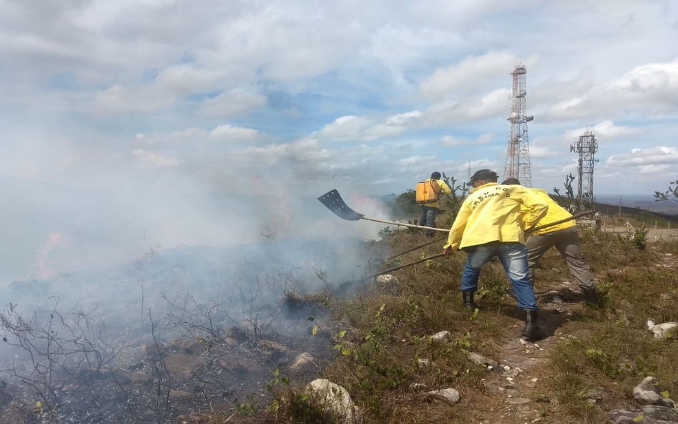 Brigadistas tentam conter incêndio na Serra de Itabaiana — Foto: Marleno Costa/Divulgação