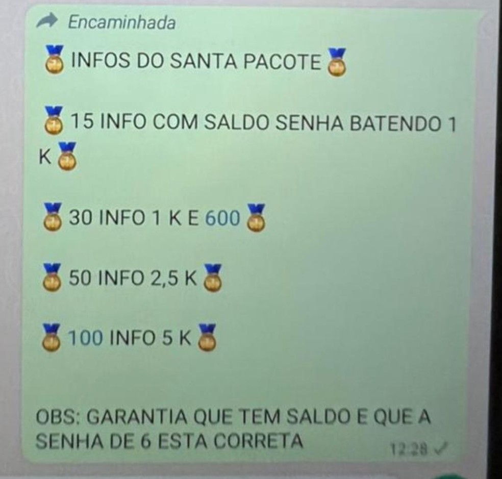 Pacotes de informações bancárias de potenciais vítimas eram vendidas entre criminosos — Foto: Divulgação/Polícia Civil