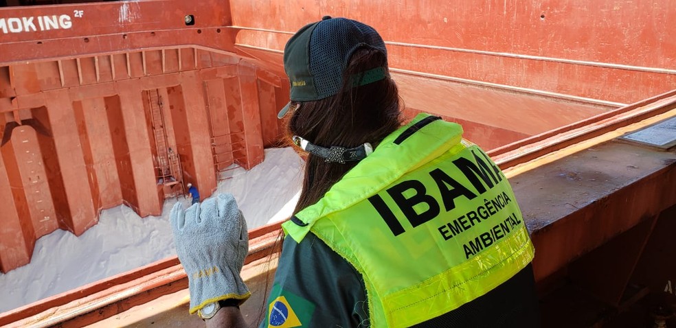 Vistoria do Ibama em porão de navio transportando nitrato de amônio — Foto: Divulgação/Ibama