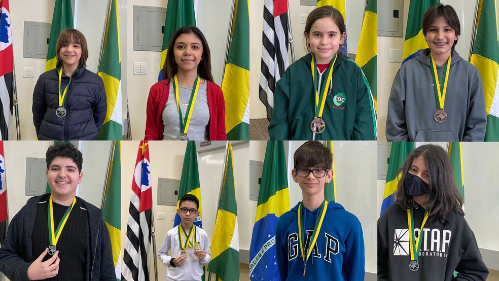 Oito alunos foram premiados durante participação no concurso internacional de matemática — Foto: Nilva Elena Borges/Arquivo pessoal