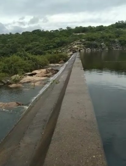 Ceará tem 15 açudes próximos a sangrar e nove já com capacidade máxima, diz Cogerh