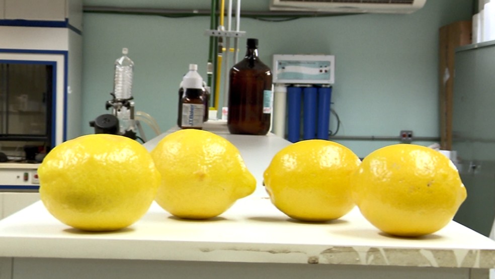 Pesquisa da Unesp retirou composto do limão para criar composto que reduz a glicose e previne a diabetes — Foto: Wilson Aiello/EPTV