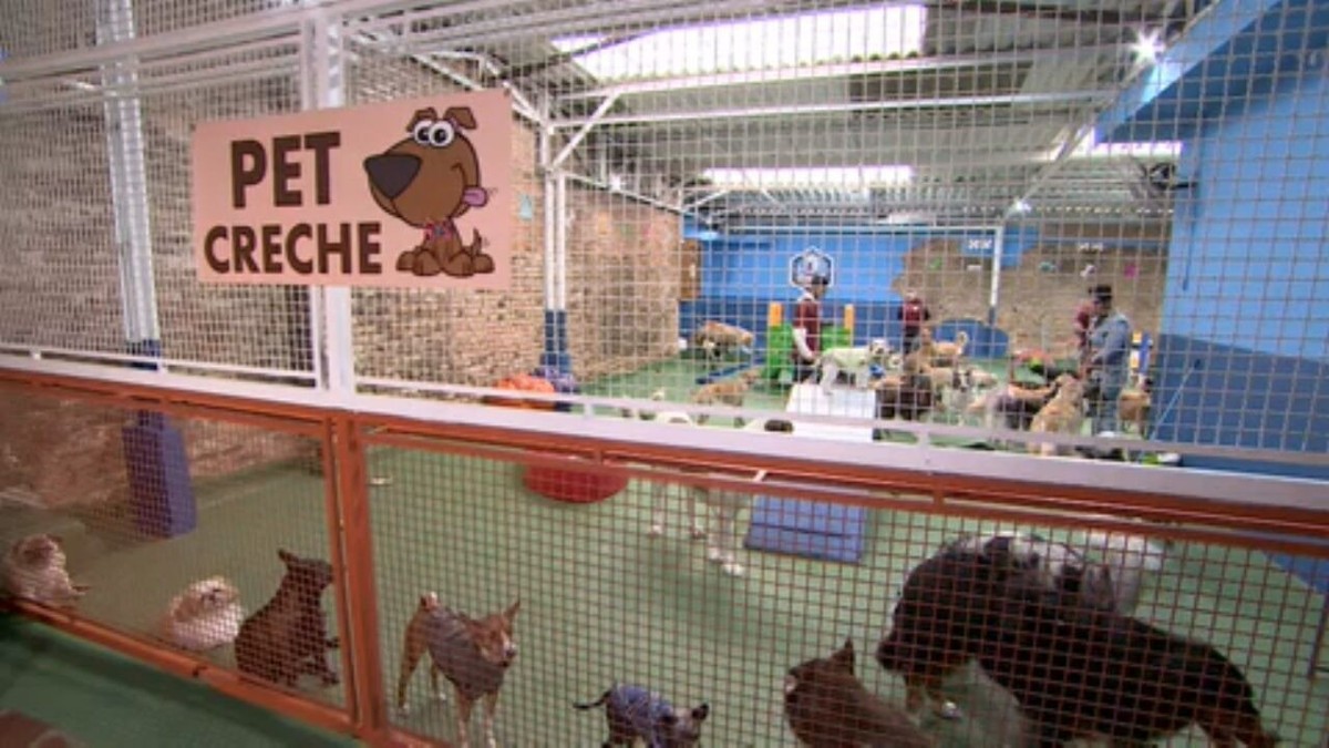 Empresa de gestão de pet shops aumenta em 50 ganhos de
