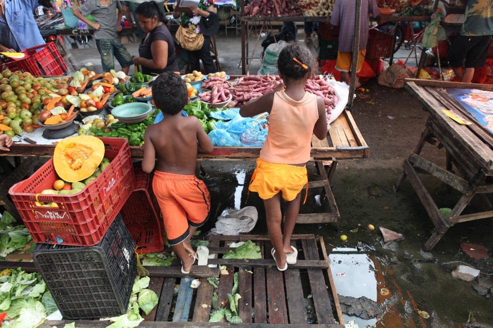 Operação em cidades do Ceará flagra crianças em trabalho infantil ilegal — Foto: TV Verdes Mares/Reprodução