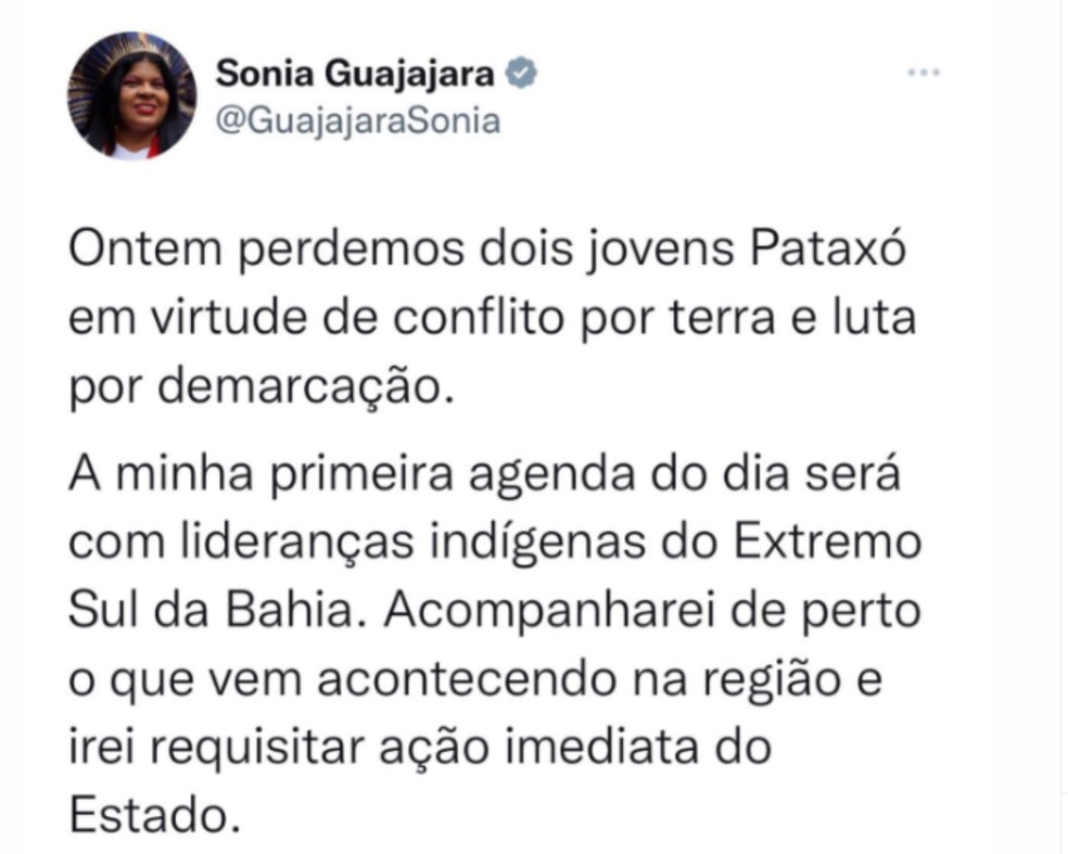 Sonia Guajajara comenta caso da Bahia — Foto: Redes sociais