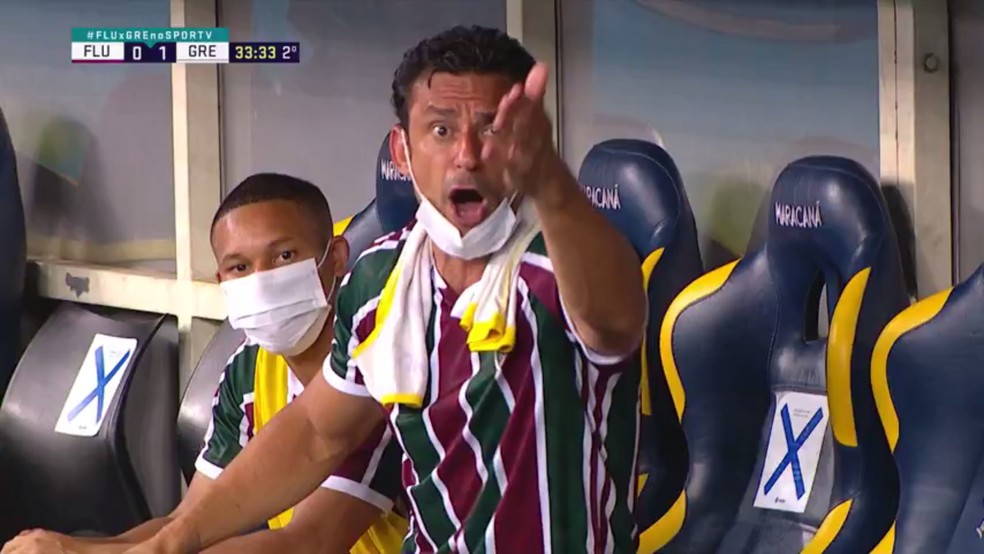 Fred discute com Renato Gaúcho em Fluminense x Grêmio — Foto: Reprodução
