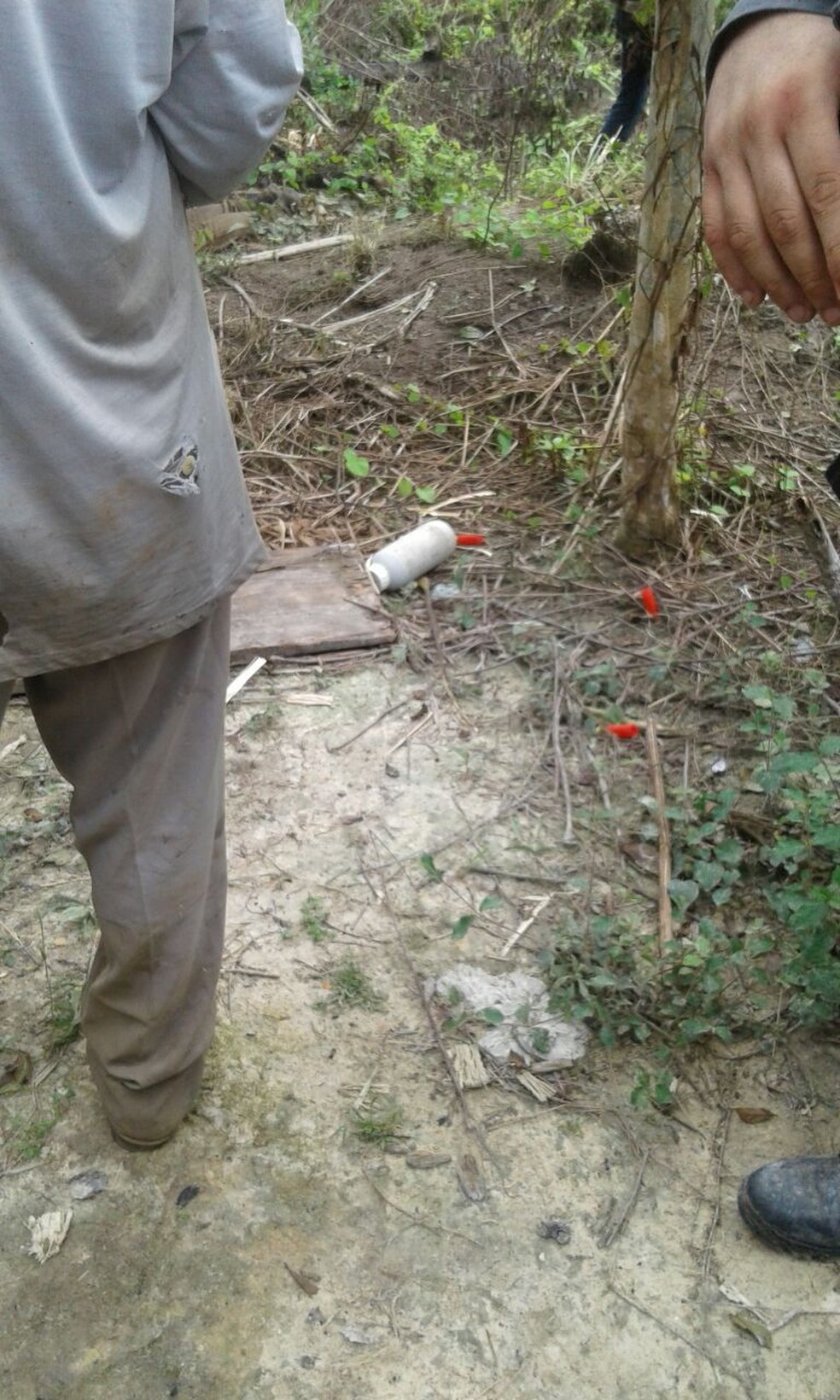  Governo de MT diz que 9 foram assassinados em ataque a área rural — Foto: Ciopaer/MT