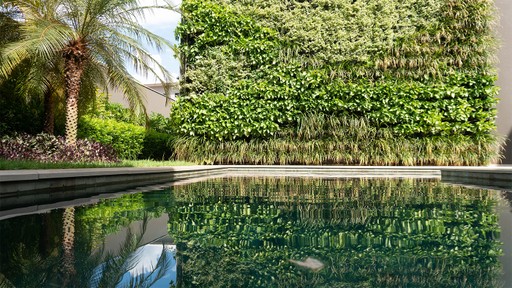 Projeto de paisagismo do escritório Wolff Garden com jardim vertical da Ecotelhado leva singônios, assistácias e liriopes