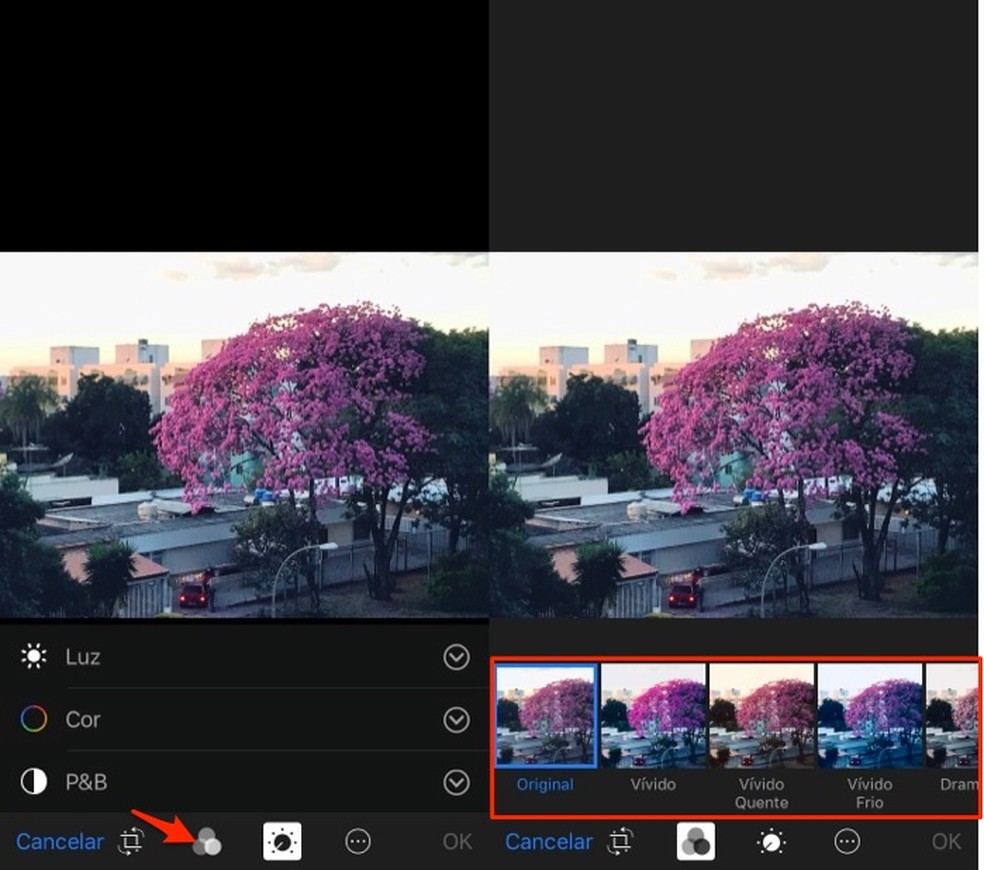Como corrigir fotos pelo celular Celular TechTudo